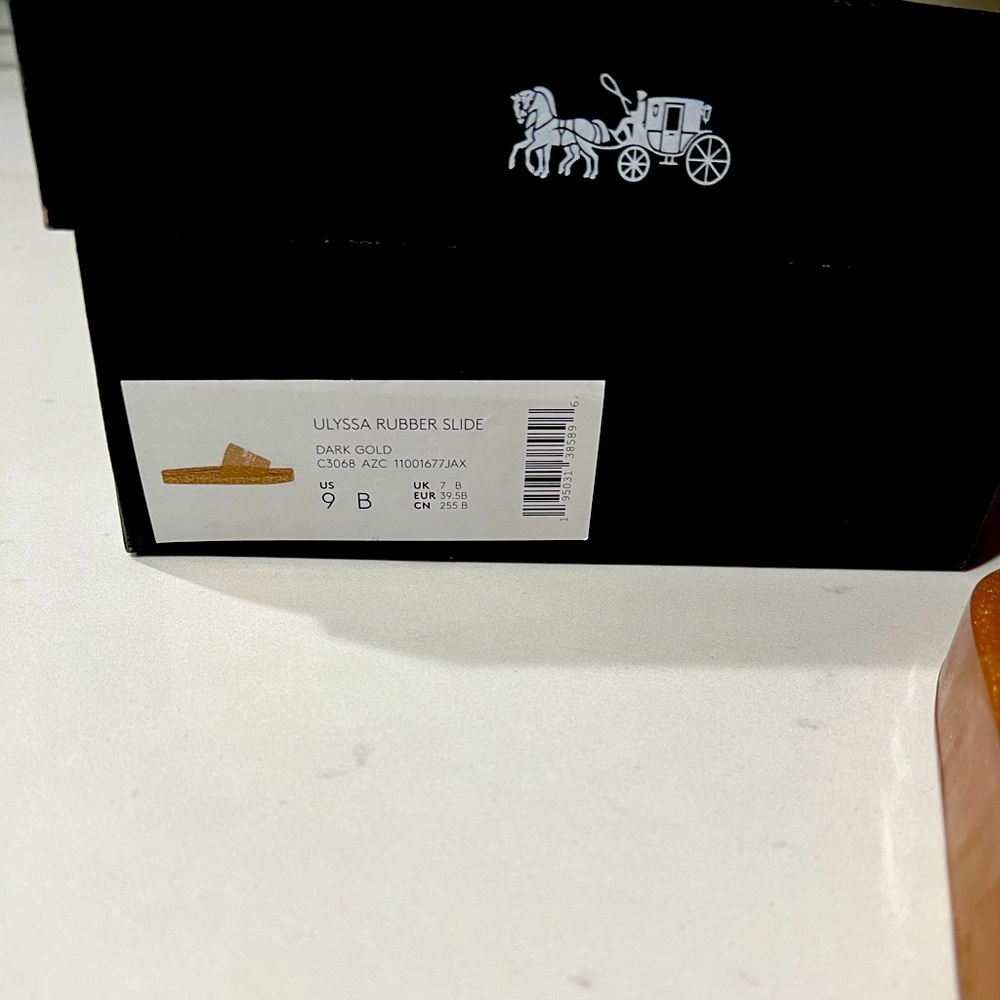 Coach slides - Picture 2 of 4